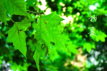DSC_0069(1)