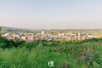 20160730-DSC_1106