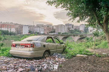 20160730-DSC_1122