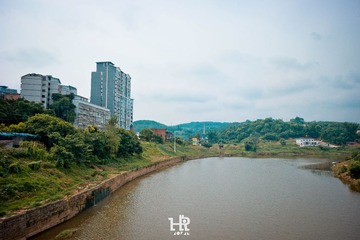 20160713-DSC_0619