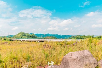 20160812-DSC_1312