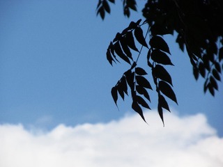 B139CBCD-F9F8-4DAE-AF66-B3695255E659/L0/001