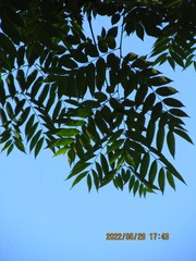 C49226E1-6AC8-4C04-89C1-9549F934E20E/L0/001