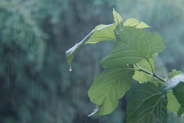 6EE6F7EB-C9CC-4185-B813-713289EA1121/L0/001