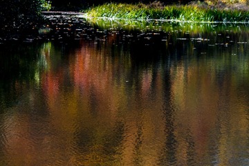 _T7D3908