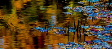 _T7D3966