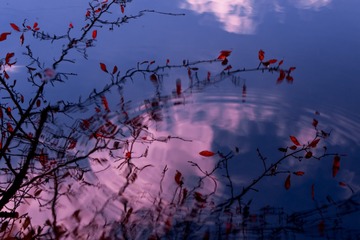 _T7D4040