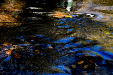 _T7D4576