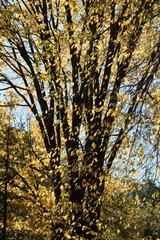 _T7D8737