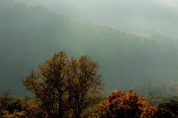 _T7D3019