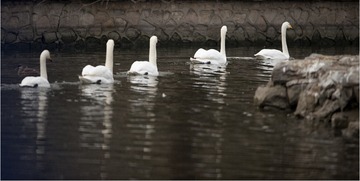 _DSC6340