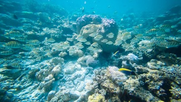 G0014043-2