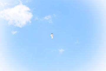 2016-05-04 03.11.18 1