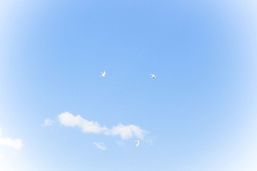 2016-05-04 03.19.01 1
