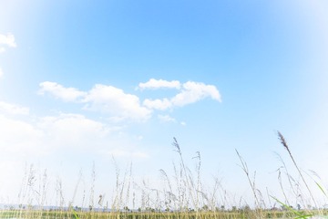 2016-05-04 03.02.47 1
