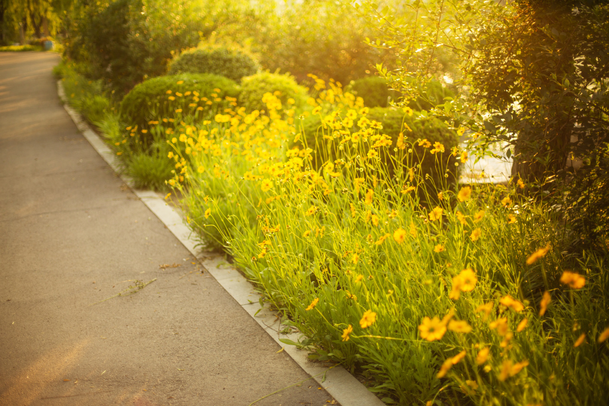 生活当中处处是风景