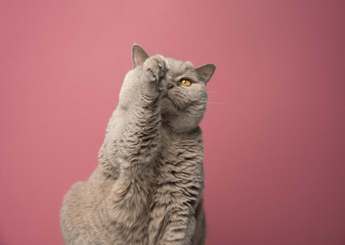 厦门演武桥观景台