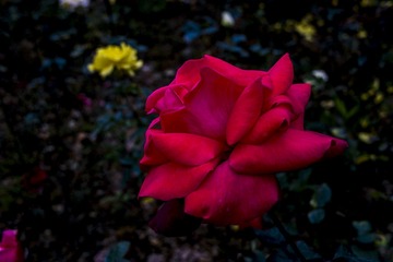 SDIM0975