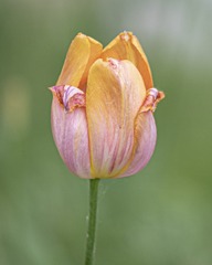 30508