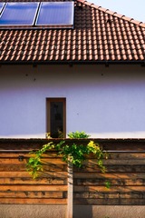 0A900636-48EE-4586-A967-60F645E4A017/L0/001