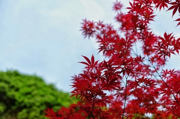 64576FF5-ACBC-43A9-A7C5-B1D33A71D619/L0/001