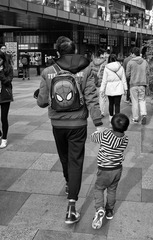 L1015316-编辑