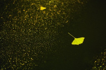 L1015450-编辑