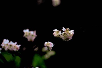 tmp_b58061f17151d93ebc08f10da284df9bd4e57a8bf454dc62