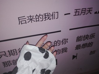 163220