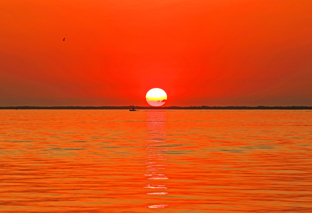 日出东方红胜火