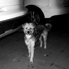 IMG_1335-01