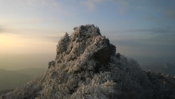 WP_20170209_043