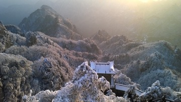 WP_20170209_030
