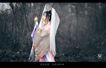 DSC_0377 - 