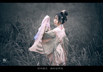 DSC_0339 - 