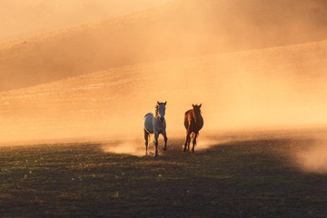 IMG_3471-2