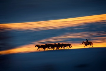 IMG_9697-1