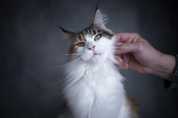 671971