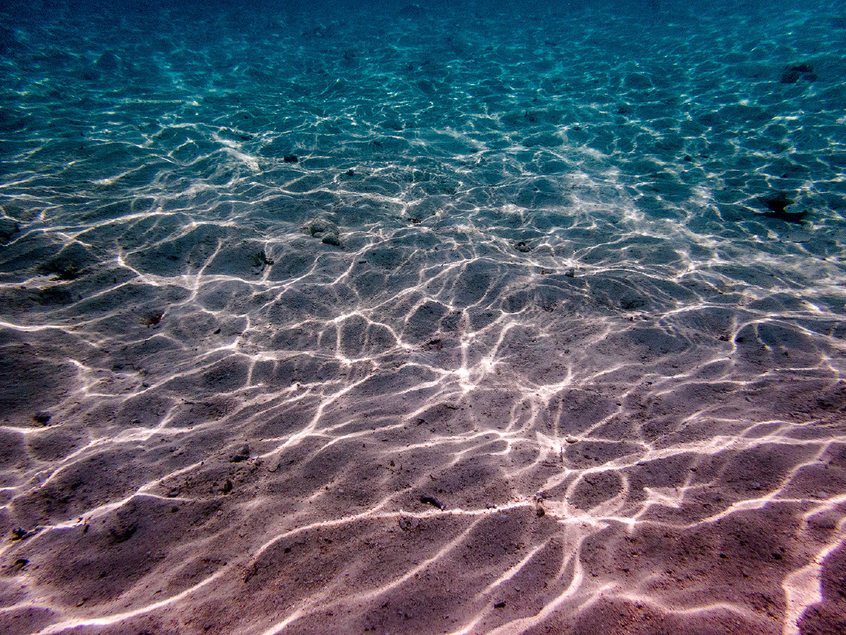 在潜水过程中,阳光透过水面,在海底形成美丽的光影,让人陶醉.