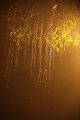 20150153