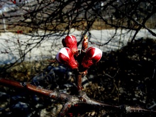 DSCF0099_