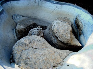 DSCF0255_