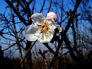 DSCF0284_