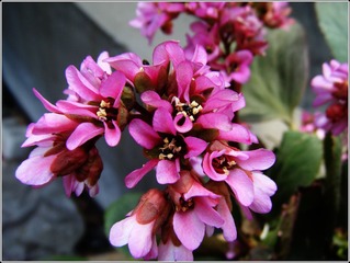 DSCF0306_