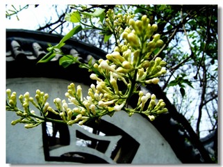 DSCF0325_