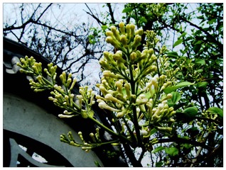 DSCF0331_