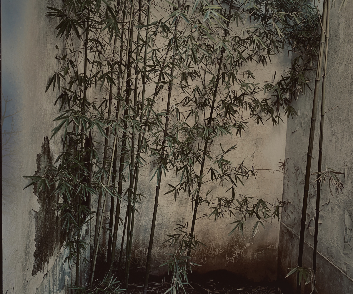 宁可食无肉不可居无竹