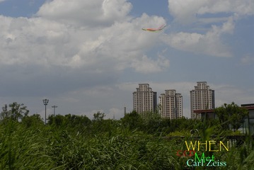 _DCS0011