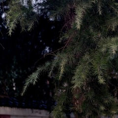 95D0075B-A9DB-45C4-94CA-282BF928FD28/L0/001