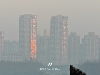1000026981